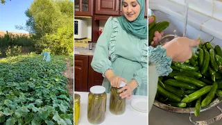 ليش مخلل الخيار اطيب مخلل بالعالم المخلل عالاصول 