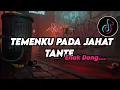 Download Lagu DJ TEMENKU SEMUA PADA JAHAT TANTE X ENAK DONG...!
