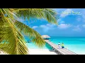 Download Lagu Edward Maya Ft. Akcent  -  Passion In Paradise @FruitMusica