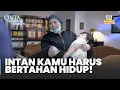 Download Lagu Intan Dilarikan Ke Rumah Sakit | CINTA SEBENING EMBUN | Eps.54-55 Part 6