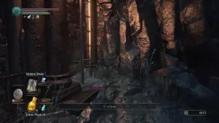 DARK SOULS 3 - Profaned Flame location