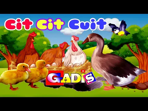 Download MP3 Cit Cit Cuit ❤️ Lagu anak indonesia  Burung Ayam Dan Bebek