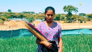 Buraka Fininsa Bure Hulansibana New Ethiopian Oromo Music 2019 Official Video 