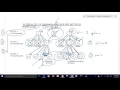 Branch and Bound for Mixed Integer Solutions