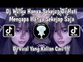 Lagu DJ WALAU HANYA SEKEJAP DI HATI MENGAPA HANYA SEKEJAP SAJA | DJ BINTANG 14 HARI VIRAL TIKTOK TERBARU