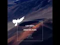 Birds on Mars