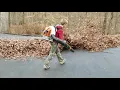Blowing leaves with Stihl br800 echo pb8010