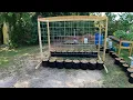 Cucumber Trellis For My Garden Made With A Tractor Supply Cattle Panel