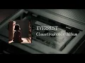 Download Lagu EVERRUST -ILUSI DELUSI [OFFICIAL MUSIC VIDEO]