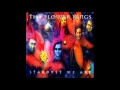 Download Lagu The Flower Kings - Stardust We Are