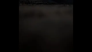 زار   نوبان دندنها