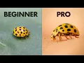 7 Mistakes I Made as a Beginner in Insect Macro Photography