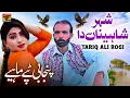 Download Lagu Shehar Shahina Da (Punjabi Tappay Mahiye) | Tariq Ali Rogi | Official Music Video 2025 | TP Gold