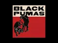 Black Pumas  - Confines Live in Studio