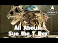 Sarah s Wiki Corner Podcast 26 - Sue the T Rex