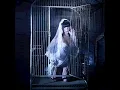 start again - Bailey Spinn