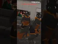 Download Lagu @FurryNonsense The Cat Shaker with Cartoon Sound Effects