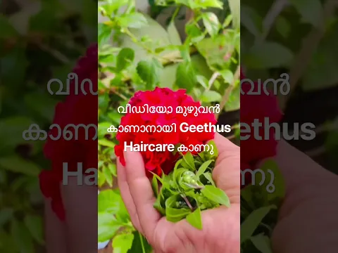 5 ദിവസം ഇത് പുരട്ടു മുടി തഴച്ചു വളരും പരുപരുത്ത മുടി സ്മൂത്ത് soft silky hair ആക്കാൻ ഇത്