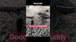 GOOD LUCK BUDDY