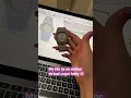 Download Lagu My life as an online sugar baby, follow my TikTok for more info @miamoolah