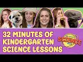32 Minutes of Exciting Kindergarten Science Lessons with Ms Shelley