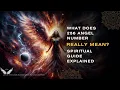 What Does 256 Angel Number REALLY Mean Spiritual Guide Explained