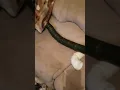 FISHER FERRET TOYS Lowes bend a drain pipe review