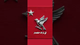 بارات علقت معايا في تراك حكمدار من    مروان بابلو  معايا  في  تراد  من  مروان بابلو         دندنها