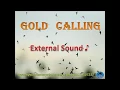 Download Lagu Swiftlet Sound- \