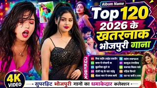 2026 के हॉट धांसू ऑर्केस्ट्रा कलेक्शन | #भोजपुरी #आर्केस्ट्रा | New Bhojpuri Nonstop Songs