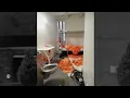 Cell where Jeffrey Epstein died never underwent proper inspection experts say