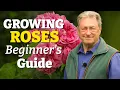Download Lagu Growing Roses Made Easy: The Beginner’s Guide to a Gorgeous Garden