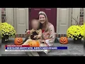 SCSO Woman dies after found unresponsive in her front yard charges upgraded for suspect