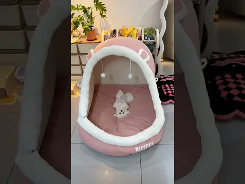 Papa Took A Huge Bed For PupDog 🐶🛋️ #shorts #viral #puppyvideos