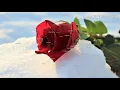 Download Lagu Gravity - Kau Salju Cintaku (lirik video)