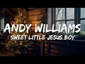 Download Lagu Andy Williams - Sweet Little Jesus Boy (Lyrics)