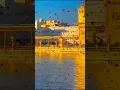 Download Lagu Sabna Vich Tu Vartda Saaha #gurbani #shabad #shorts