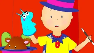 Caillou and the Talent Show Caillou Cartoon