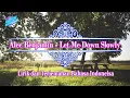Alec Benjamin - Let Me Down Slowly (Lirik dan Terjemahan Bahasa Indonesia)