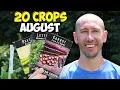 20 Crops Clever Gardeners Know to Plant in August