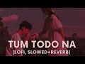 Lagu Tum Todo Na (Female Version) | Slowed + Reverb