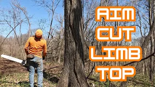 Download Aim, prep, cut, limb, top, and skid. One tree start to finish MP3