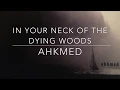 Download Lagu In Your Neck of the Dying Woods By Akhmed (2016) (EP)