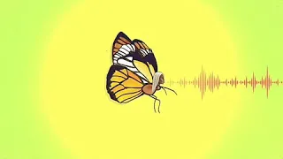 tiwa savage labalaba official audio 