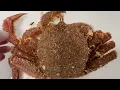 HORSEHAIR CRAB 毛がに Kegani