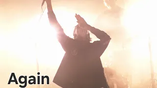                                               دندنها