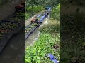 Download Lagu Đoạn đường đời là đoạn đường mưu sinh ở đây kiếm tiền chứ không kiếm chuyện #camsanhmientay #drone