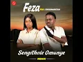 Sengithole Omunye - feza ( feat.Chulumanco )