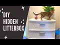 DIY Hidden Litter Box Kitten Update