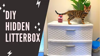 DIY Hidden Litter Box Kitten Update